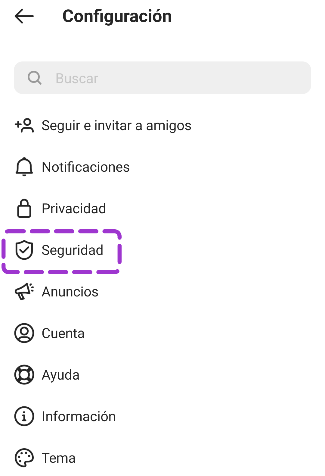 Seleccionar seguridad instagram